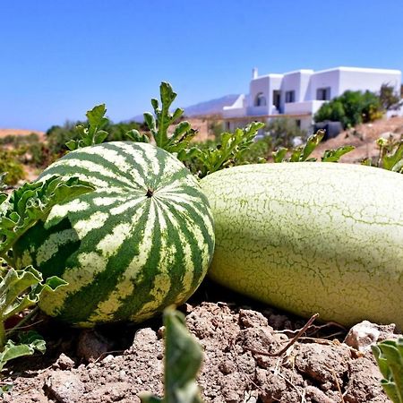 דירות Galini  Relaxia Estate Naxos מראה חיצוני תמונה